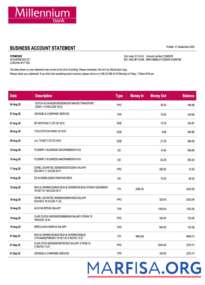 Printable Poland Millennium business firm statement Word and PDF format sample